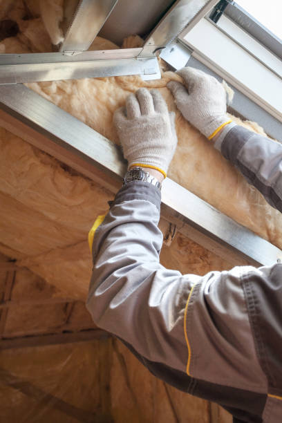 Best Specialized Insulation Services in Millbourne, PA