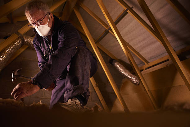 Types of Insulation We Offer in Millbourne, PA